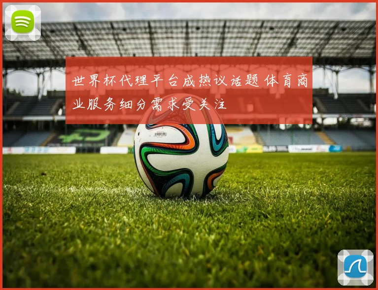 世界杯代理平台成热议话题 体育商业服务细分需求受关注