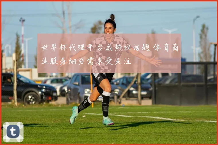 世界杯代理平台成热议话题 体育商业服务细分需求受关注